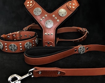 Conjunto de coleira, guia e peitoral de couro para cães – acolchoado, com rebites, para raças grandes.