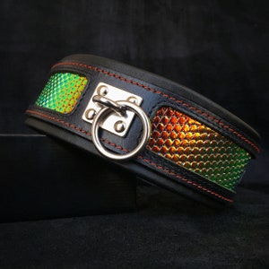 Può includere: Collare in pelle nera con un inserto iridescente verde e arancione e un anello a D argentato.