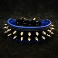 Bestia Frenchie Collar: Handmade Leather Dog Collar with Spikes product logo