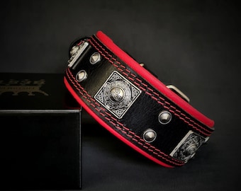 Leather Dog Collar: Padded, Riveted, for Small to Medium Dogs
