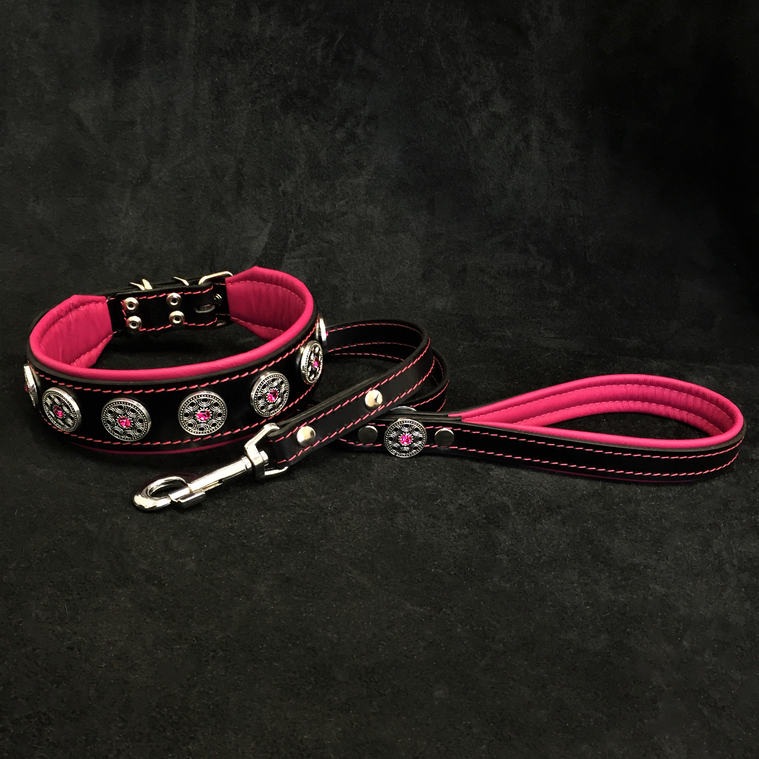 dog collar with leash inside