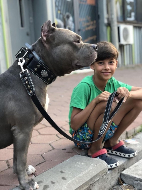 Cuccia Cane In Legno Da Esterno Taglia Grande Mastino - Foto 6