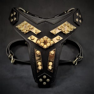 Bestia The &#39;&#39;Midas&#39;&#39; harness GOLD. Perfect fit. Soft padded. Handmade