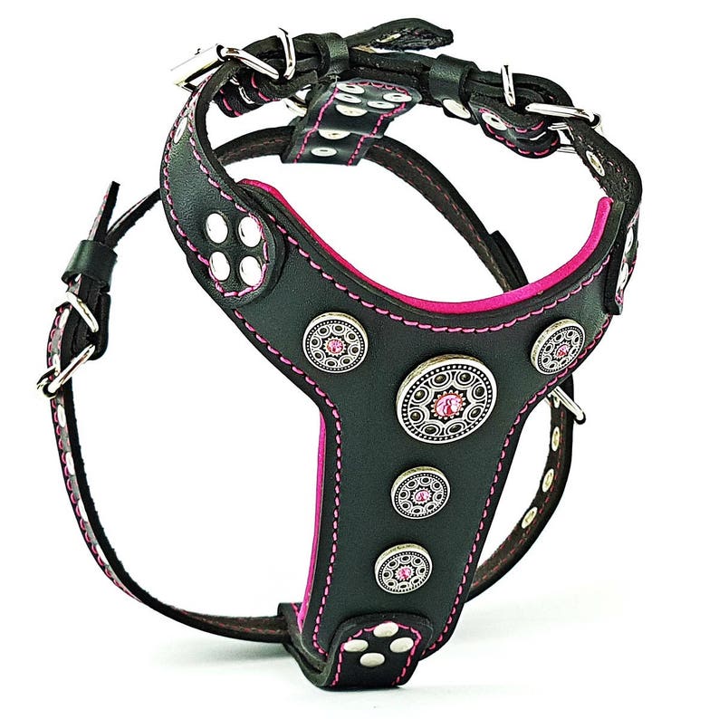 BESTIA: ''BIJOU'' Leash - Leather - Pink main image 0