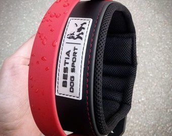 Heavy Duty Dog Collar with Handle, Padded Waterproof Training Collar