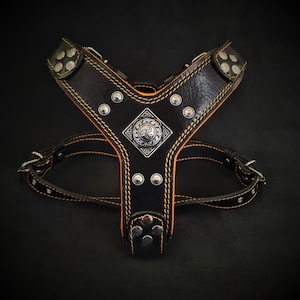 Bestia™ genuine leather &quot;Eros&quot; harness Small to Medium sized dogs. Soft padded with leather on the chest plate. Unique design and quality!