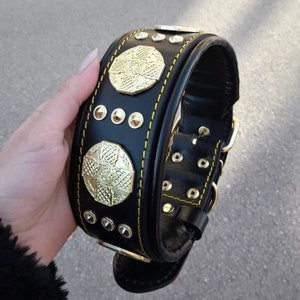 Bestia™ "Maximus" genuine leather dog collar for large dog breeds. 2.5 inch wide. soft padded. Brass rivets. Hand made in Europe!