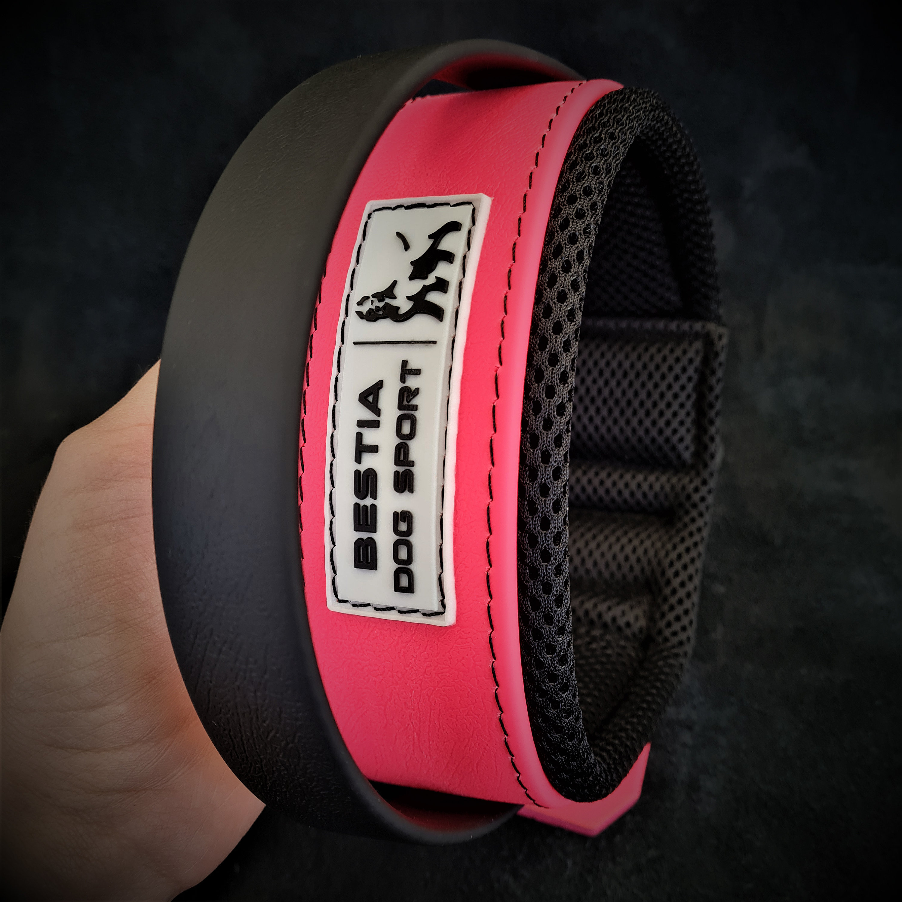 Bestia Dog Sport Halsband Mit Griff – 5 Cm Breit, Wasserdicht, Weich Gepolstert, Für Große Hunde