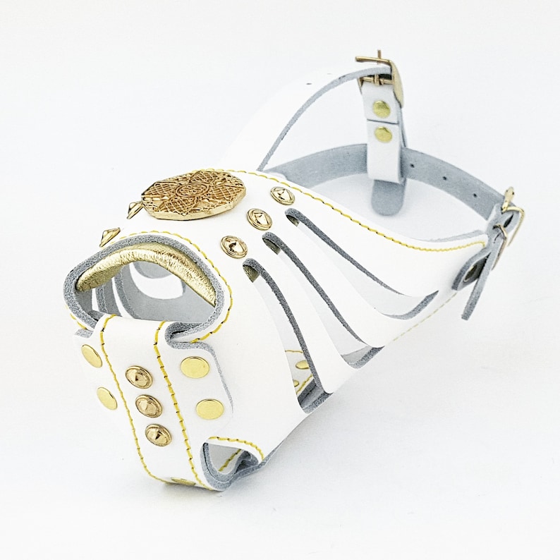 May include: White leather dog muzzle with gold accents and a decorative metal plate. The muzzle has a strap that goes around the dog's head and a buckle for fastening.