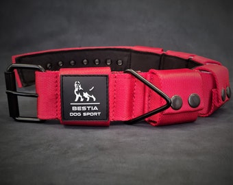 PRE-ORDEN Collar de adiestramiento para perros con peso. Razas grandes. 5 libras en total. pesas removibles