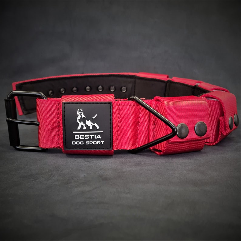 May include: A bright red dog collar featuring a black metal buckle and a triangular D-ring. A black rectangular patch on the front displays a white dog silhouette logo and the text BESTIA DOG SPORT. The collar has a black interior lining.