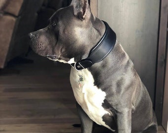 Wide Leather Dog Collar, Soft Padded, Handmade in Europe