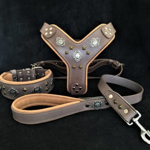 Eros Superset! Halsband, Leine & Brustgeschirr. Alle Artikel aus Leder. 100% Handarbeit. NUR für große Hunde geeignet!