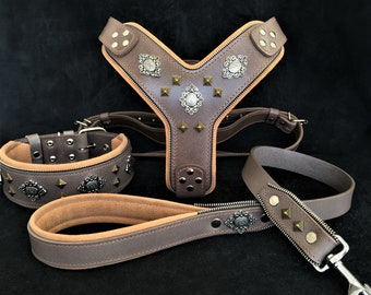 Handmade Leather Dog Harness Collar Leash Set – Aztec Rivets, Large Breed