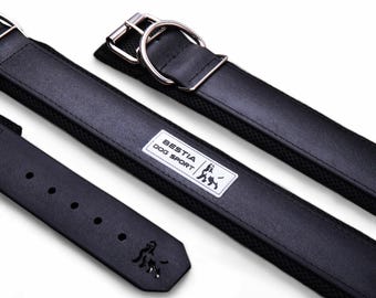 Padded Waterproof Dog Collar, Stainless Steel Buckle, Heavy Duty