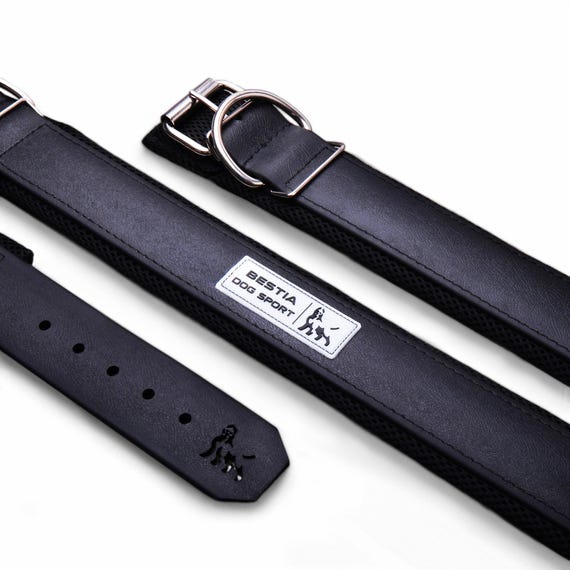 Padded Waterproof Dog Collar, Stainless Steel Buckle, Heavy Duty