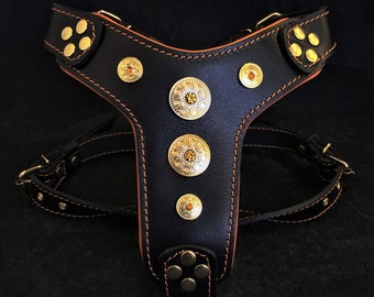 Bestia Bijou Genuine Leather Studded Dog Harness for French Bulldogs and  Small Breeds