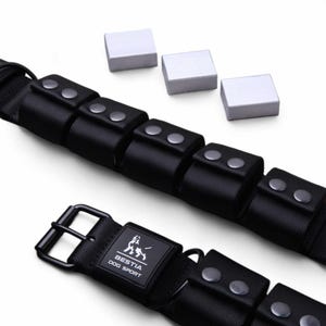 Weighted Dog Training Collar, Removable Weights 5 lbs Total, Muscle & Strength Building for Large Breeds, Bestia Dog Sport image 1