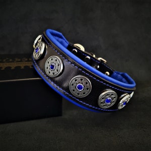 Puede incluir: Collar de perro de cuero negro con ribete azul y detalles de metal plateado. El collar tiene cinco piezas decorativas redondas con piedras preciosas azules en el centro.