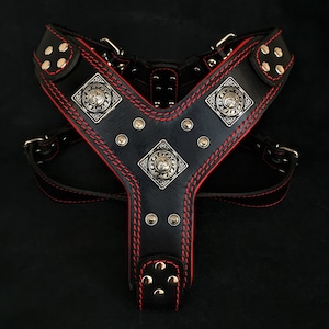 Bestia™ genuine leather &quot;Eros&quot; harness. Old silver rivet design. Soft padded with leather on the chest plate. Unique design and quality!