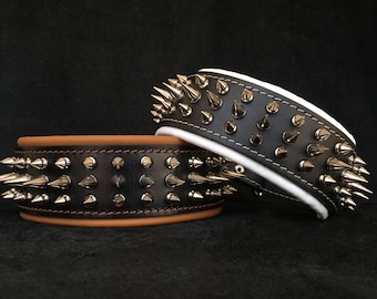 May include: Two black leather dog collars with silver spikes. One collar has a brown leather trim and the other has a white leather trim.