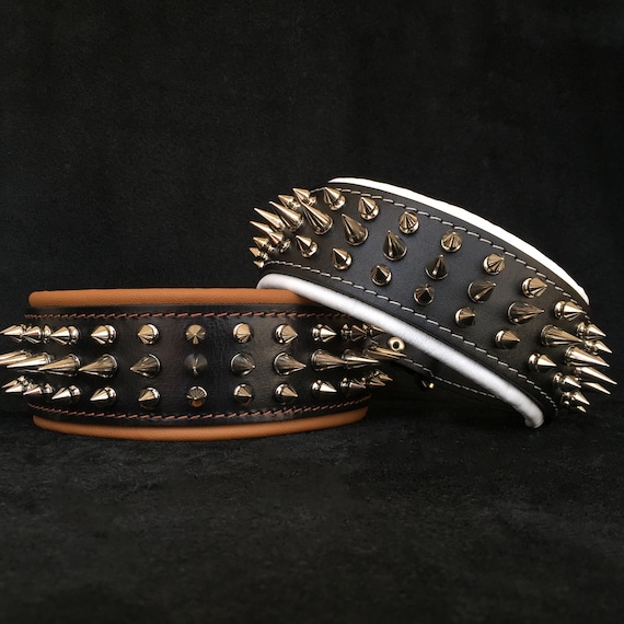 Are Spiked Dog Collars Dangerous