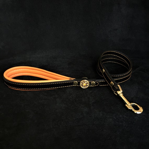 BESTIA Echtleder Hundeleine – 110 Cm, 2 Cm Breit, Mit Gepolstertem Griff, Handgefertigt
