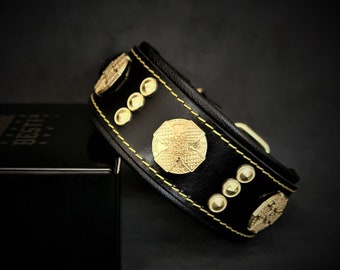 Gevoerde leren hondenhalsband: met messing studs, voor kleine tot middelgrote honden
