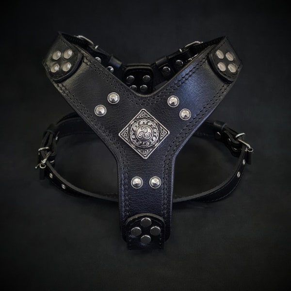 Bestia™ genuine leather "Eros" harness Small to Medium sized dogs. Soft padded with leather on the chest plate. Unique design and quality!