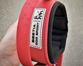 Red Padded Dog Collar with Handle, Waterproof Stainless Steel