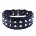 Bestia™ "Boston" genuine leather dog collar. Studded and soft padded on the inside. 2 inch wide. sizes S or M. Bulldog. Hand made quality! product logo
