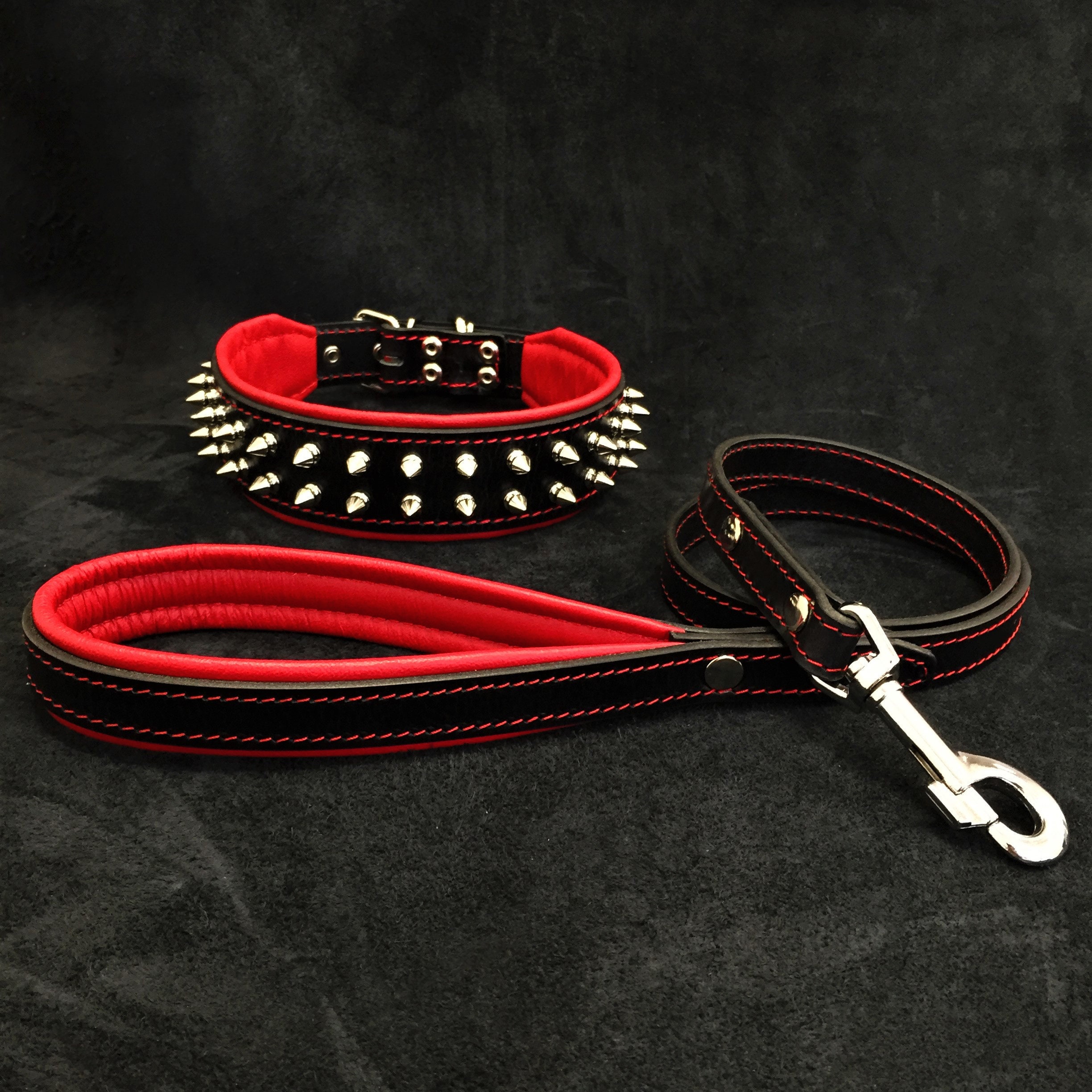 dog collar with leash inside