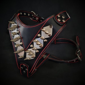 Pettorina Tira Pesi Imbracatura Per Cani Da Slitta Riflettente Per Pitbull Boxer | Australia - Foto 7