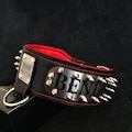 Bestia™ "Kennel" PERSONALIZED leather dog collar. Engraved on stainless steel. 2.8 inch wide. Your design! Double layer leather. Large dogs product logo
