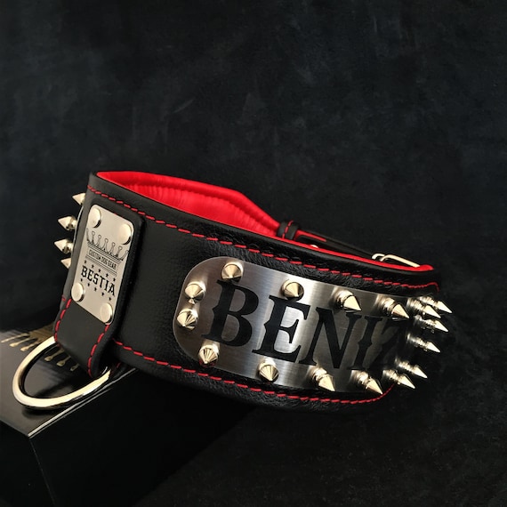 Metal collar with custom writing by Bestia
