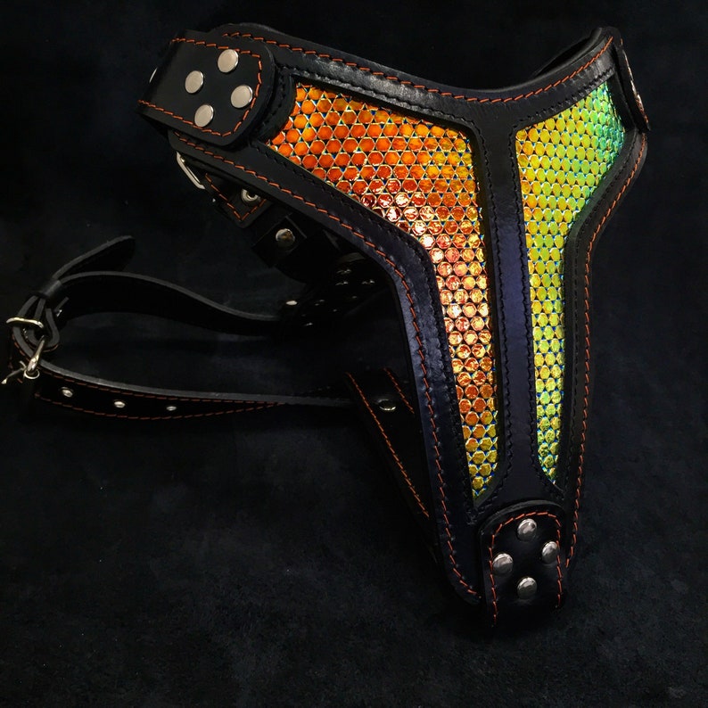 Bestia The /'/'DAlbertis/'/' harness