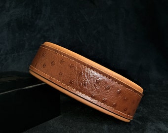 May include: A brown leather belt with an ostrich skin pattern. The belt is thick and has a smooth, polished finish.
