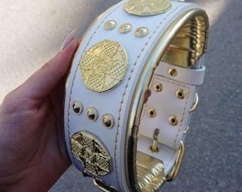White Leather Dog Collar, Brass Rivets, Padded Collar for Large Breeds