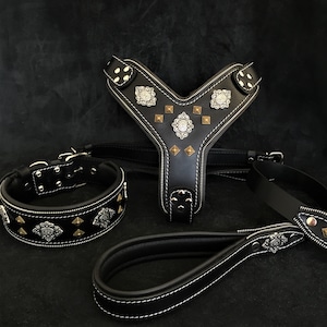 Bestia™ full &quot;Aztec&quot; Black dog SET- Harness - collar - lead. Soft padded. old silver and antique brass rivets. Unique design and quality!
