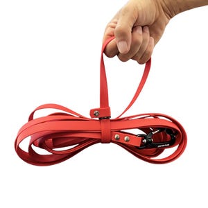 Op de afbeelding: Een felrode hondenriem gemaakt van een glad, flexibel materiaal. De riem is voorzien van een lusvormig handvat, een schuifbare houder en een zwarte metalen karabijnhaak die is bevestigd met twee zilverkleurige klinknagels. De riem is opgerold.