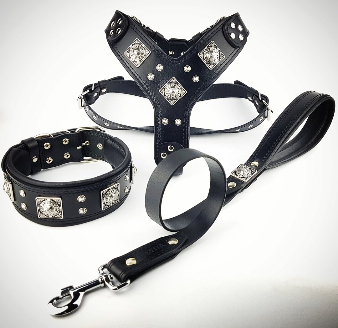 Big dog collars and harnesses hot sale