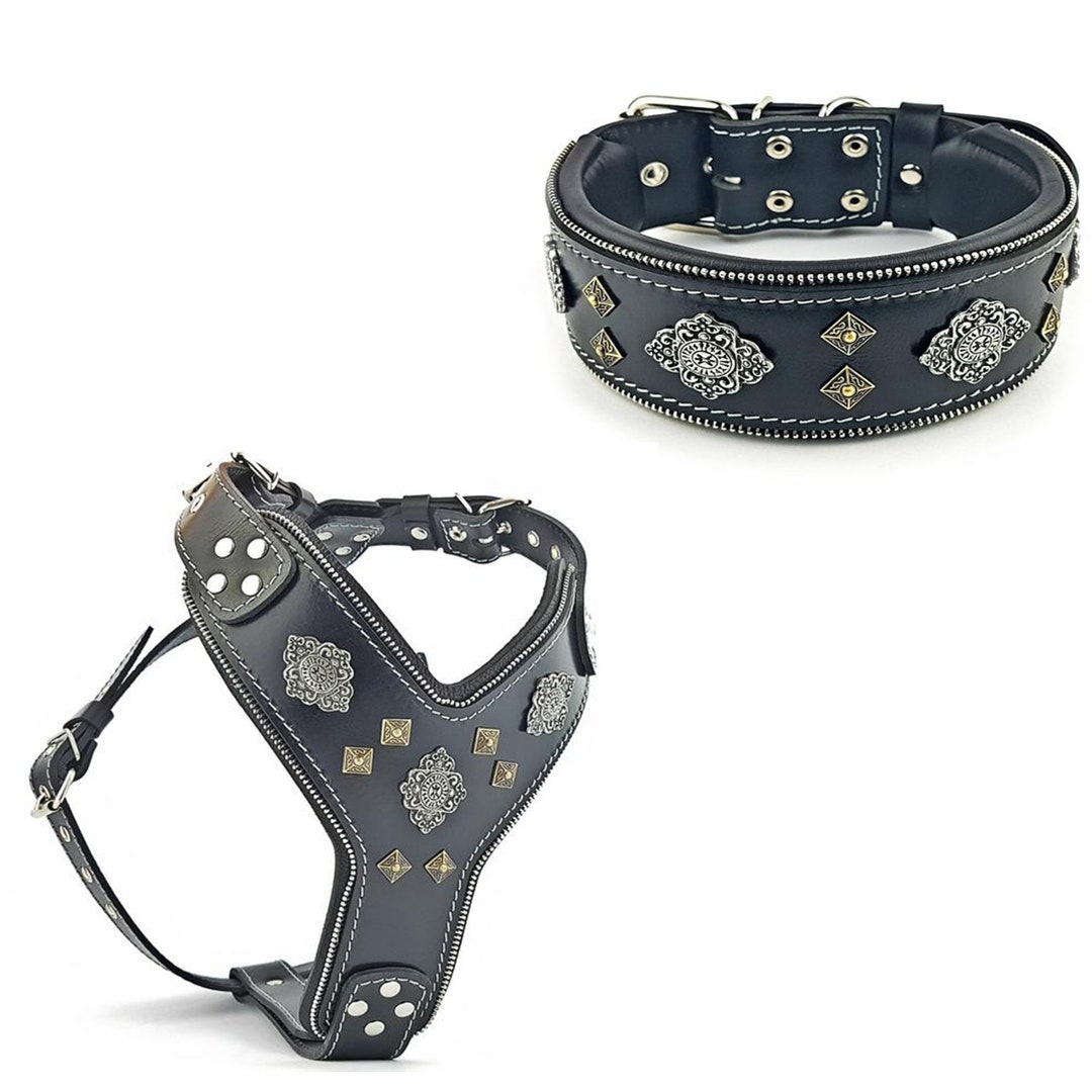 Aztec Black Leather Dog Collar and Harness Set - Rivet Design - Etsy
