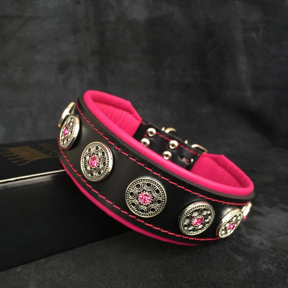 Dog collar hot sale with spikes inside