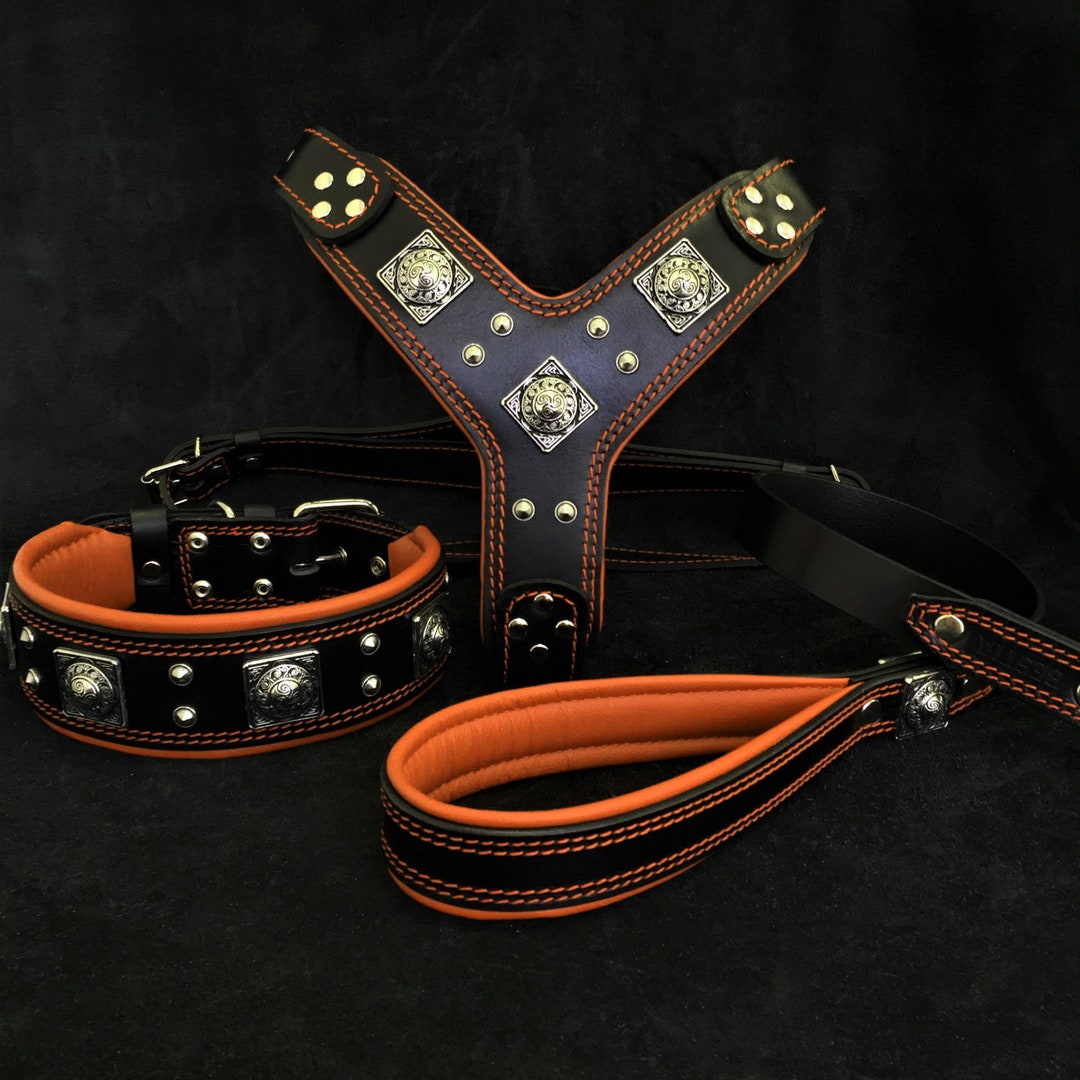 Handmade Leather Dog Harness Collar Leash Set - Soft Padded, Rivets - Etsy