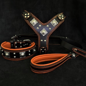 Peut inclure: Ensemble de harnais, collier et laisse pour chien en cuir noir avec des coutures orange et des accents argentés.
