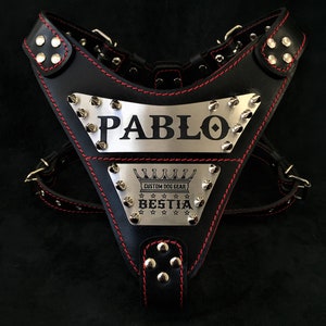 Bestia™ &quot;Metal&quot; PERSONALIZED leather dog harness. Engraved on stainless steel. Your design! Soft padded on the chest plate. Top quality!