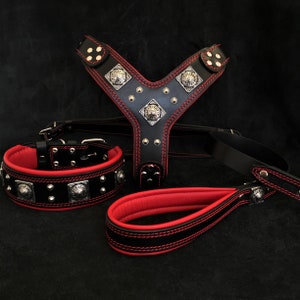 Bestia™ full "EROS" BIG dog SET- Harness - collar - lead. Soft padded. old silver rivets. Unique design and quality!