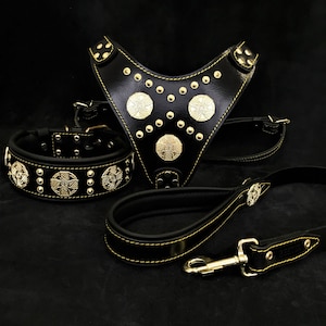Bestia™ full &quot;Maximus Black&quot; BIG dog SET- Harness - collar - lead. brass rivets. lamb leather padding. Unique design and quality!