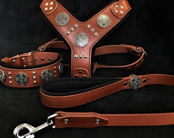 Conjunto de coleira, guia e peitoral para cães grandes em couro – acolchoado, com rebites