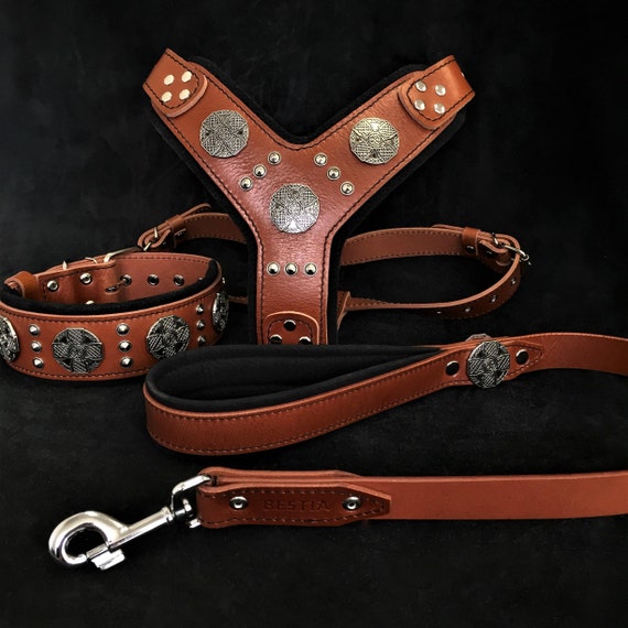 Maximus Superset! Halsband, Leine & Brustgeschirr. Alle Artikel aus Leder.  100% Handarbeit. NUR fr groe Hunde geeignet! - Etsy sterreich